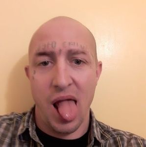 Meet your Posher, Wolf